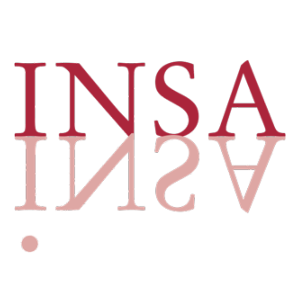 INSA Master